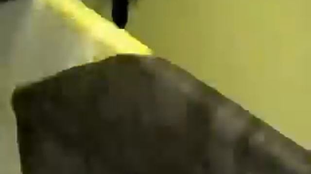 ReActive | Локомотив - торпедо 2004 смотреть онлайн