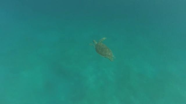 marsa смотреть онлайн
