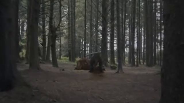 2 Tyrannosaurus Vs Triceratops Vs Another Tyrannosaurus [RUS]