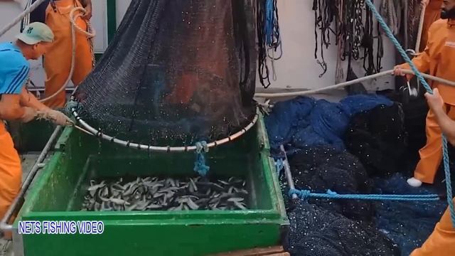 Unbelievable hundreds of tons of herring are caught by large nets I've Seen it Big Fishing Net #0 смотреть онлайн