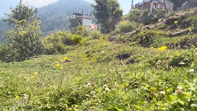 Беженец🇮🇳Гималаи. Загар в Гималаях. Ищу пропитание. Купил презервативы🍓 Уезжаю в Дели.