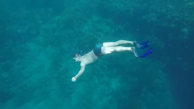 concorde moreen beach смотреть онлайн