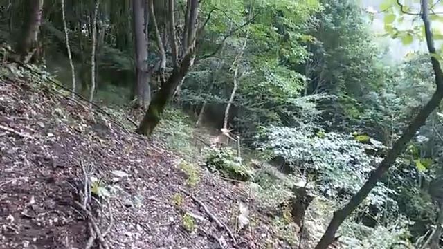 Водопровод Алмак Буртунай Дылым смотреть онлайн