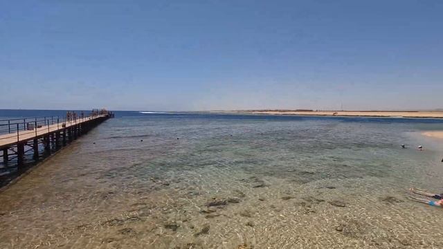 🇪🇬 Pickalbatros The Palace Port Ghalib Marsa Alam Egypt 5.2023 4K🐫