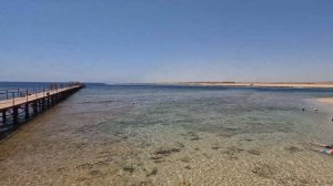 🇪🇬 Pickalbatros The Palace Port Ghalib Marsa Alam Egypt 5.2023 4K🐫