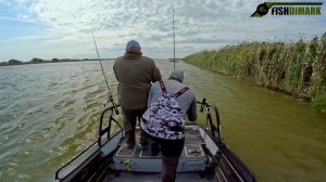 Рекорд сезона  8,400 Сазан  Рыбалка в Астрахани  р. Бахтемир