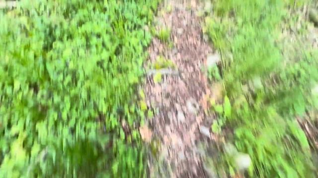 Appalachian Deli NY | AT ‘24 | Adventure Therapy