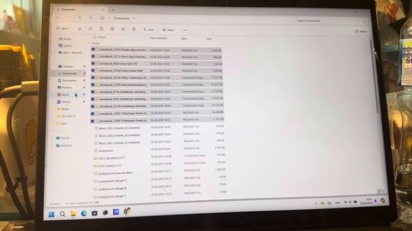 Быстрая установка модов в Симс4