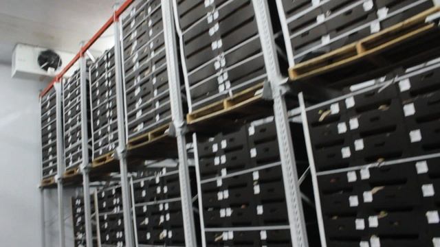 Агроцентр «ДРУЖИНО»