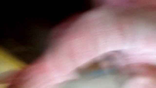 Смешные хомякм смотреть онлайн