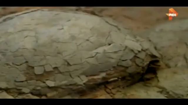 Странное дело. Назад в будущее (26.07.2017) смотреть онлайн