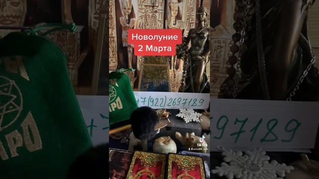 Новолуние 2 Марта 2022г #таро #судьба #будущее #гаданиеонлайн #раскладтаро смотреть онлайн