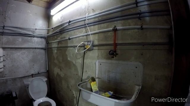 Мои собаки смотреть онлайн