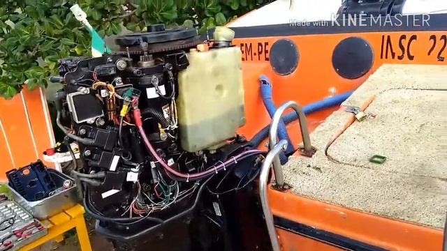 Revisão motor Mercury 75 hp