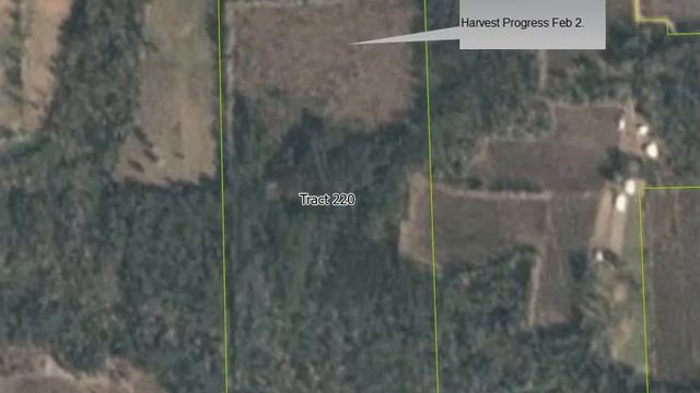 Real Time Planet Labs imagery in forest management in ArcGIS Pro смотреть онлайн