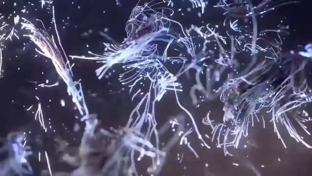 8 сентября 2022 г. смотреть онлайн