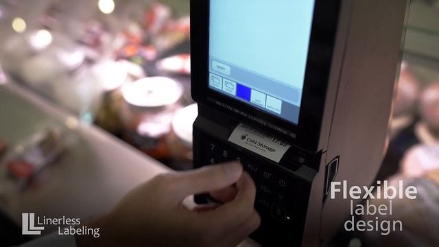 DIGI SM-6000 PC Scale смотреть онлайн