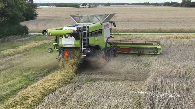 Claas Lexion 8900 Harvesting Rye | Biggest Claas Combine | Harvest 2023