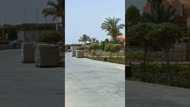 Wakacje z TUI . Novotel Marsa Alam 06/2023 смотреть онлайн