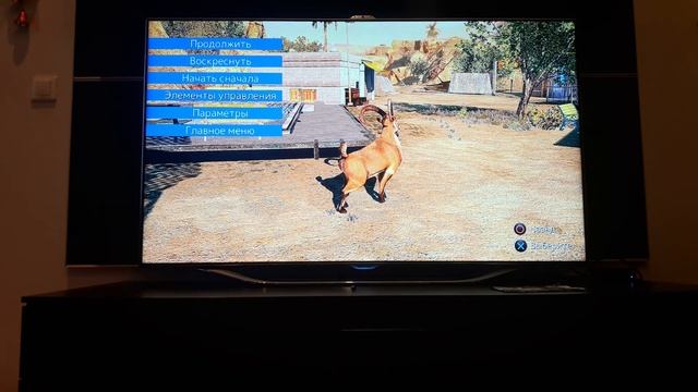 ИГРАЕМ В СИМУЛЯТОР КОЗЛА НА PS 4