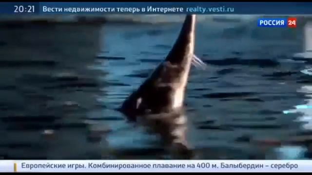 Вести Подмосковья Последние Новости Москвы Новости России Сегодня 28 06 2015 1 смотреть онлайн