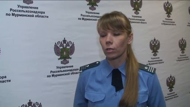 Электронная сертификация смотреть онлайн