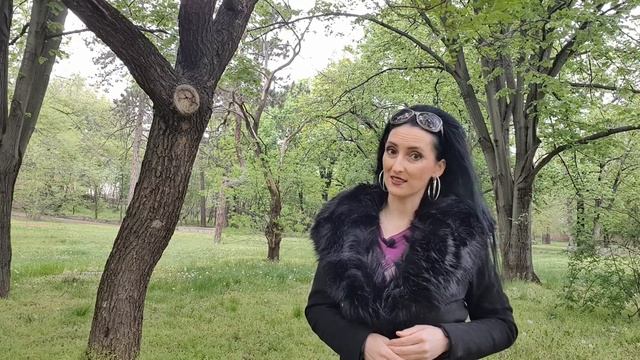 Плутон (трансформатор) поменял знак смотреть онлайн