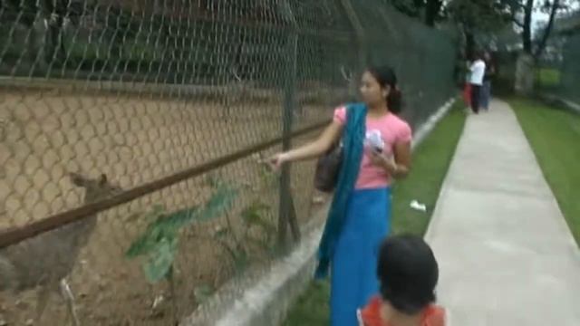At Iroisemba Zoo (জুলোজিকেল গার্দেন ইম্ফাল) смотреть онлайн
