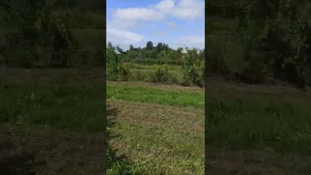 Мульчирование травы на участке смотреть онлайн