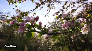 Зинира Ризат Рамазановлар  Алмагач бураны