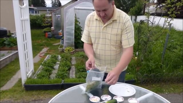 Быстро и Просто. Вкуснейшие Малосольные Огурчики. Очень Хрустящие и Сочные, всего за 1 Сутки.