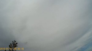 охота на гусей