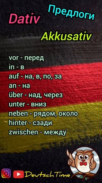 Предлоги Dativ и Akkusativ 🇩🇪#shorts смотреть онлайн