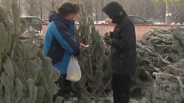 "События" (Неделя в Самаре) от 17.12.2016 смотреть онлайн