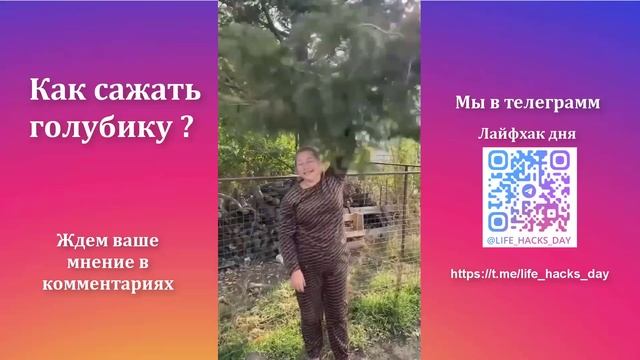 Лайфхак дня