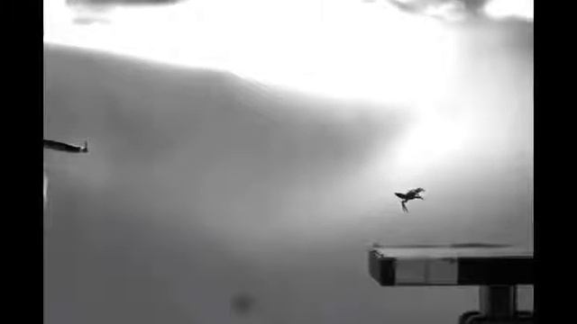 Spider-Inspired Robot uses Dragline for Pitch Righting смотреть онлайн