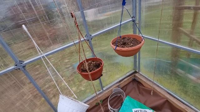 6 сотой в начале ноября