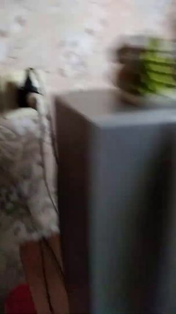 Я включаю кондиционер в закрытых окнах. смотреть онлайн