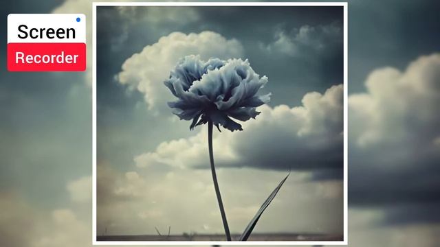 Screen Recorder: 04.02.25*