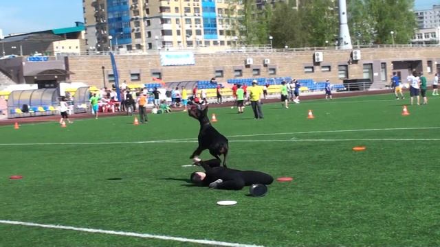 Фризби фристайл Олеся и Зена смотреть онлайн