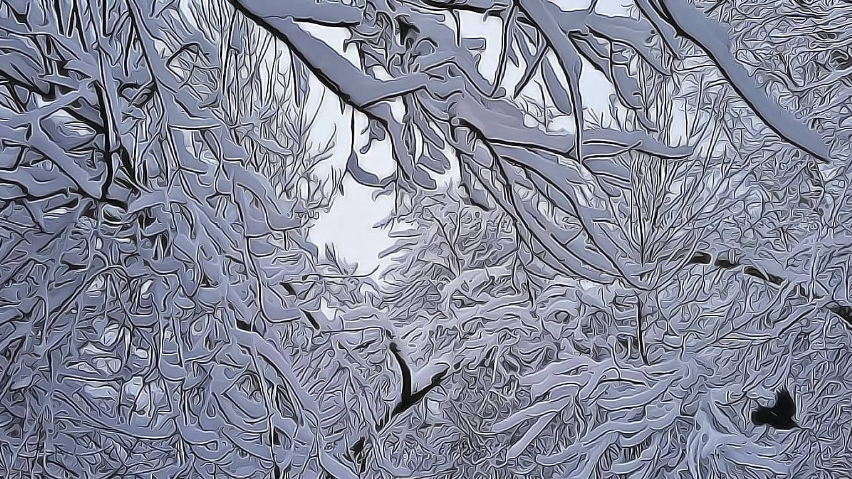 Дрозды смотреть онлайн