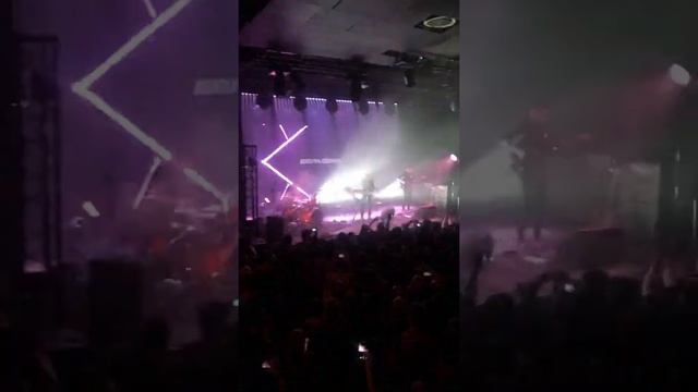 Дельфин 387 (Радуга) клуб Космонавт смотреть онлайн