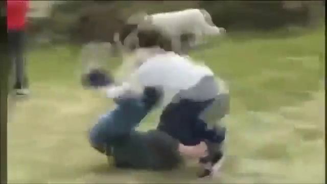 Нелепые случайности Сборка приколов 2014 смотреть онлайн