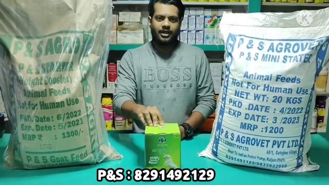 Best Weight Gainer For Goat | 100% Wieght Gain | 7-8kg Badega wazan | P&S Starter смотреть онлайн
