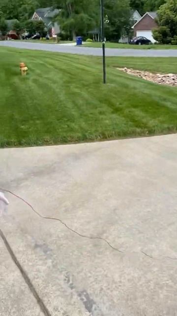 Oversized Model Rocket Engine. #estes #modelrockets #rocket