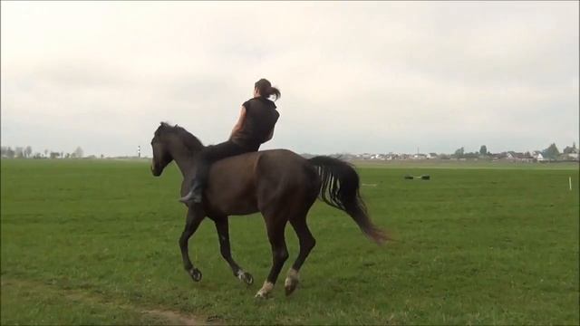 Свободная езда смотреть онлайн
