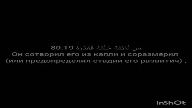 сура нахмурился абаса 80 аят 11 прадольжения следует четец кори Абубакр смотреть онлайн
