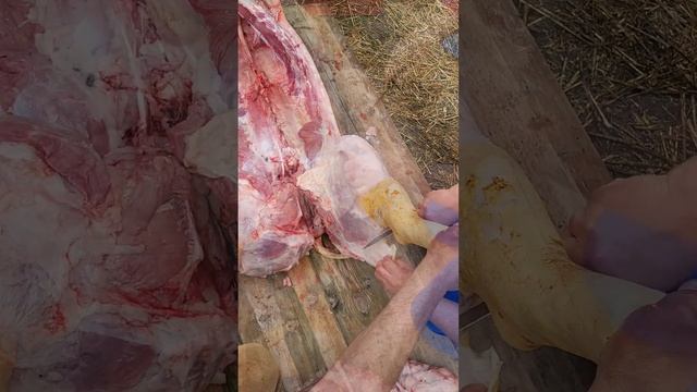 Забій та розборка кабана на ковбасу‼️💪 смотреть онлайн