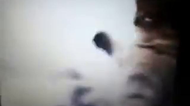 Нептун Великолепный/блог питомца смотреть онлайн