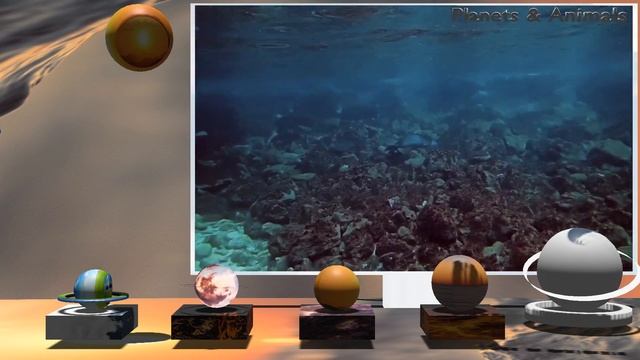 Which planet will find a friend? Elephant, lion, zebra.. | Spaceballs, tiny planets & animals смотреть онлайн